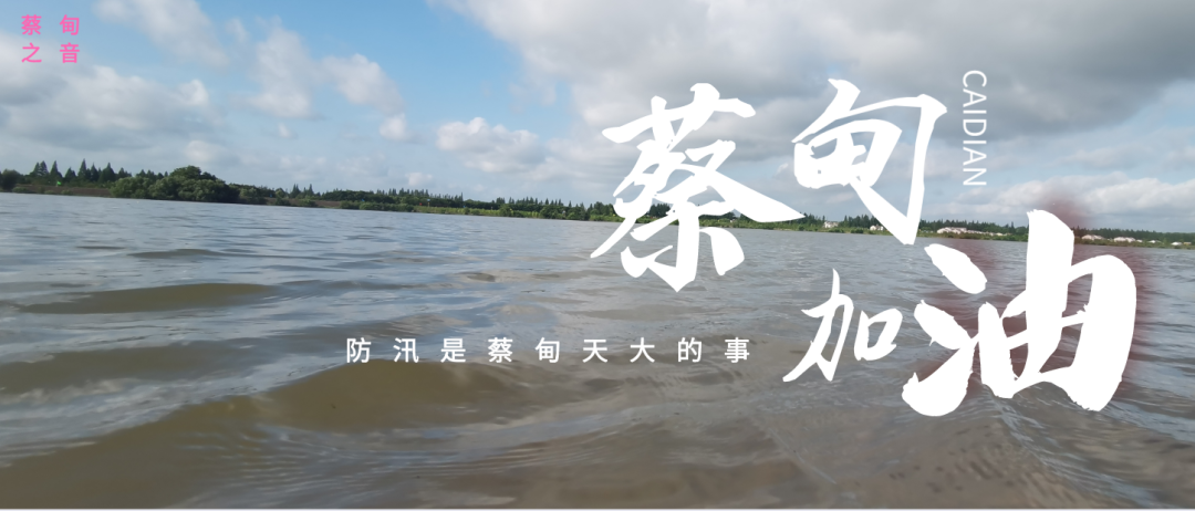 蔡甸區(qū)啟動(dòng)防汛ⅰ級應(yīng)急響應(yīng)，做好鋪土釘防汛木樁工作