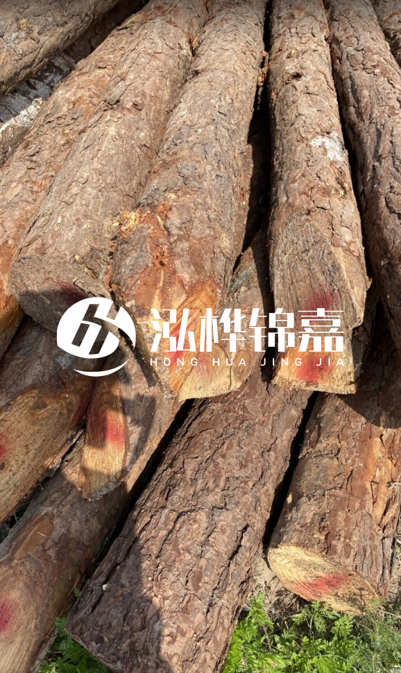 <strong>松木樁和杉木樁的用途區(qū)別？哪個更適合打樁用？</strong>