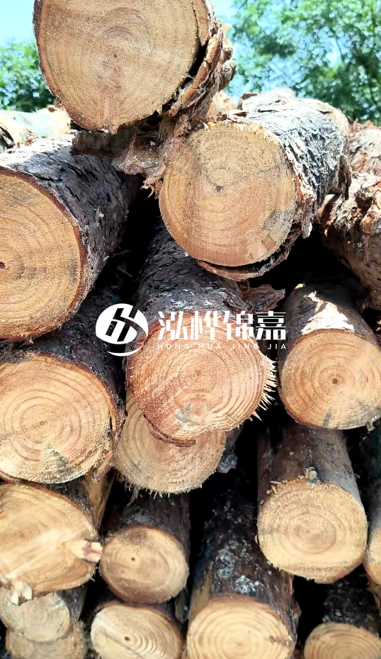 周口挖機打木樁專業(yè)施工-杉木樁施工打樁怎么打？