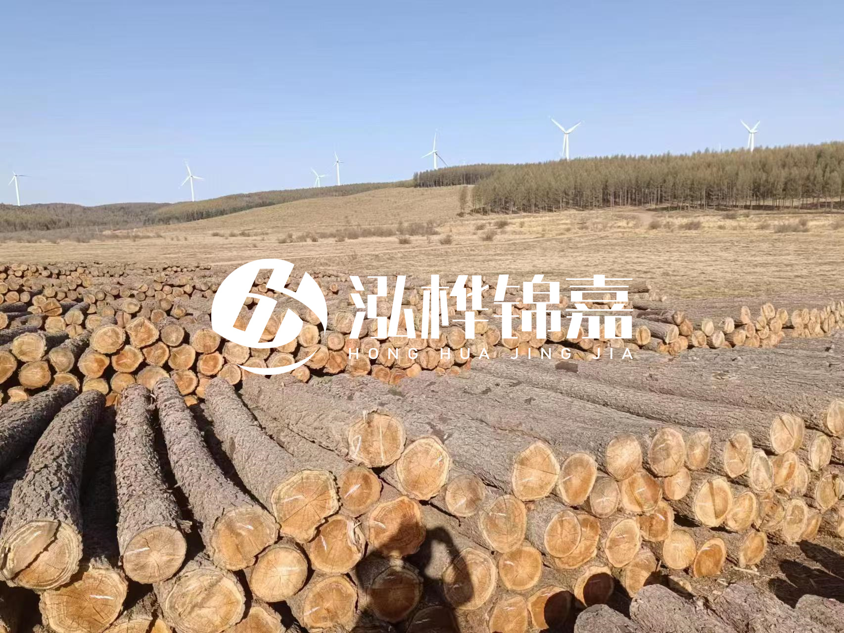 咸寧松木樁源頭廠家-哪里能買到質(zhì)量好的松木樁打樁木？