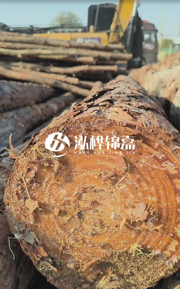 杉木樁價(jià)格多少錢(qián)一方-3米直徑14公分杉木樁價(jià)格？