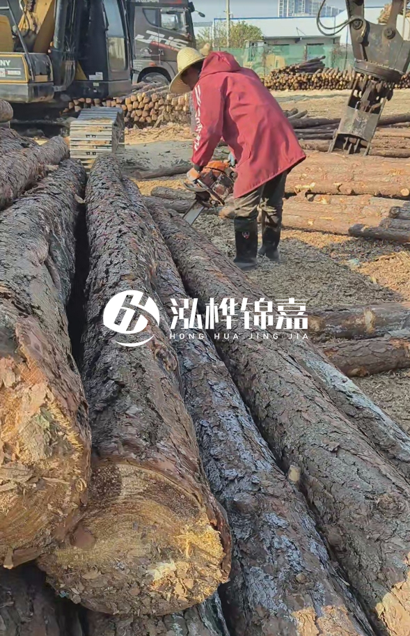 長沙打樁木批發(fā)廠家在哪里？聯(lián)系方式是什么？