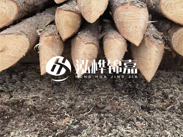 打樁木樁與鋼樁相比有哪些優(yōu)缺點(diǎn)？如何進(jìn)行后期維護(hù)？