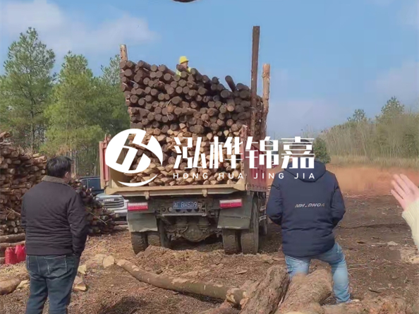 松木樁價(jià)格是按米算還是按根算？6米松木樁批發(fā)價(jià)每根多少錢？