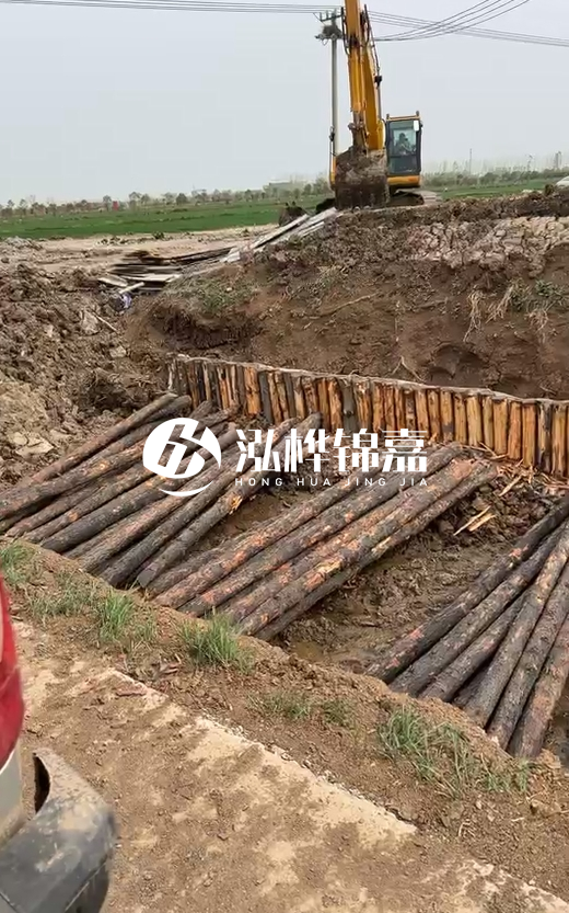4米直徑12-13油松批發(fā)價最低多少？報價含稅含運嗎？