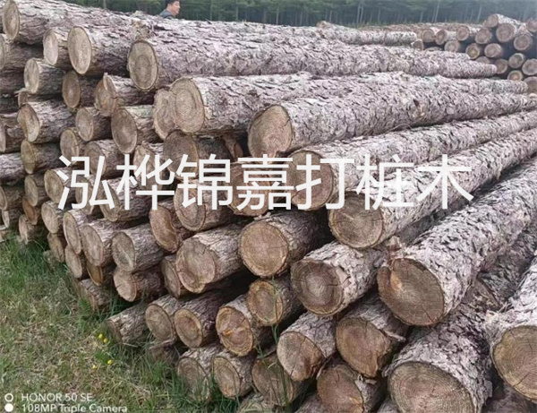 高效修補，保駕護航！水泥路面高強度修補料為您解決煩惱！