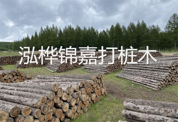 預(yù)制松木樁施工工藝：優(yōu)質(zhì)材料，高效快速，堅(jiān)固耐用