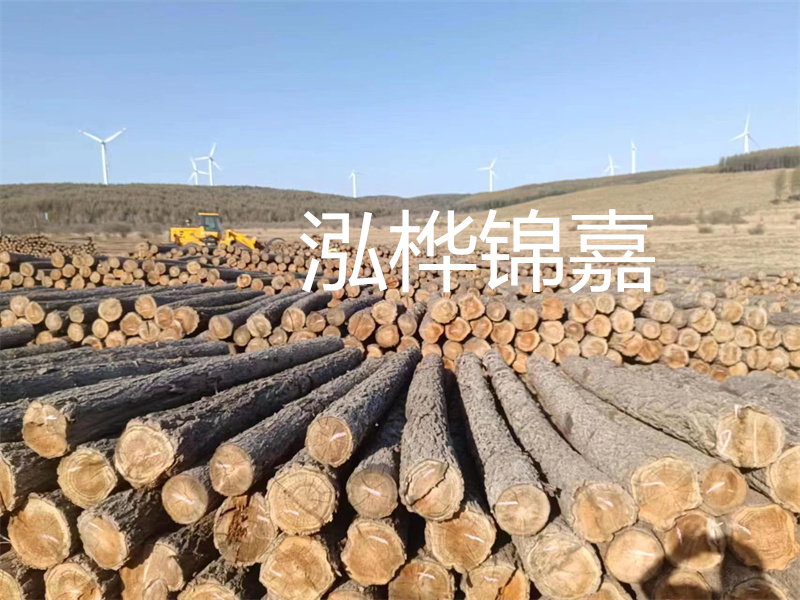 溫州松木樁施工廠家——為您打造堅(jiān)固穩(wěn)定的建筑基礎(chǔ)！