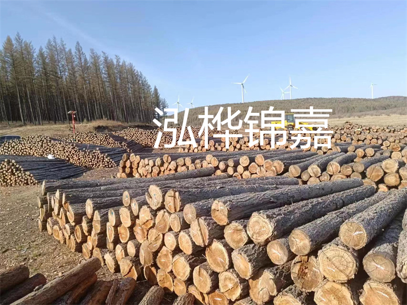 用路基松木樁施工方案提升工程質(zhì)量描述：了解路基松木樁施工方案的重要性，提高工程質(zhì)量關(guān)鍵詞：路基松木樁，施工方案，工程質(zhì)量