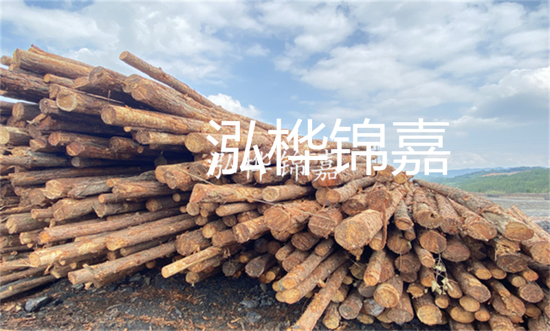 濮陽(yáng)松木樁，卓越品質(zhì)，安全可靠