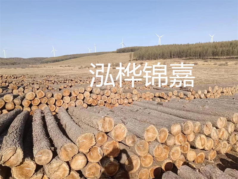 濟(jì)南哪里賣松木木樁？